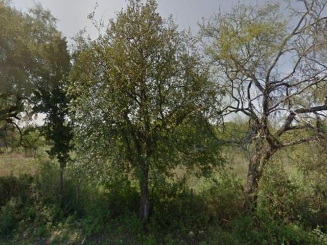 Rancho en venta en Dr. Coss, Nuevo León