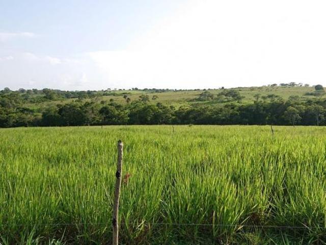 Rancho en Ozuluama de Mascareñas