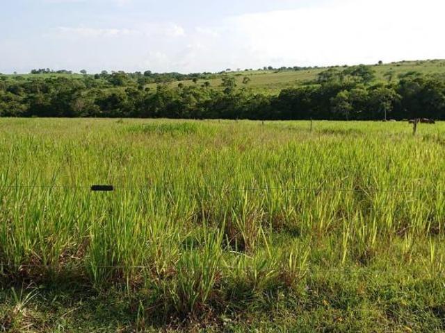 Rancho en Ozuluama de Mascareñas