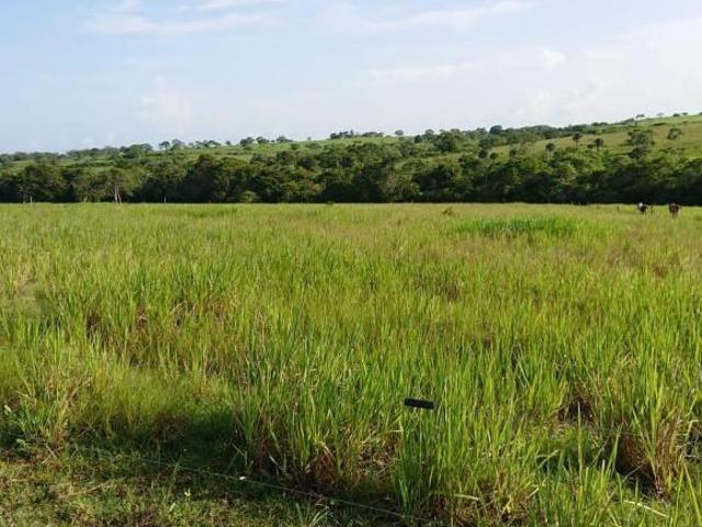 Rancho en Ozuluama de Mascareñas
