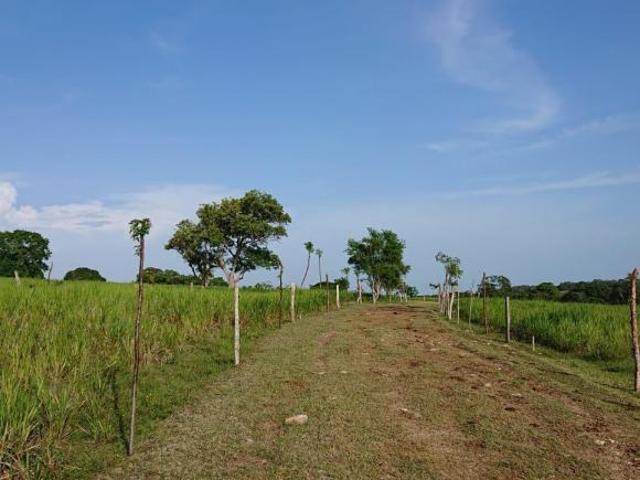 Rancho en Ozuluama de Mascareñas