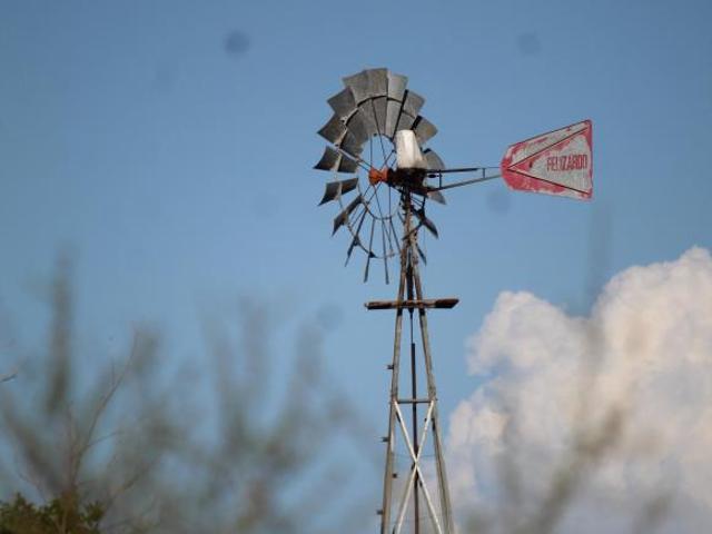 Rancho en producción en Parras