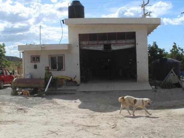 Rancho en producción en Parras