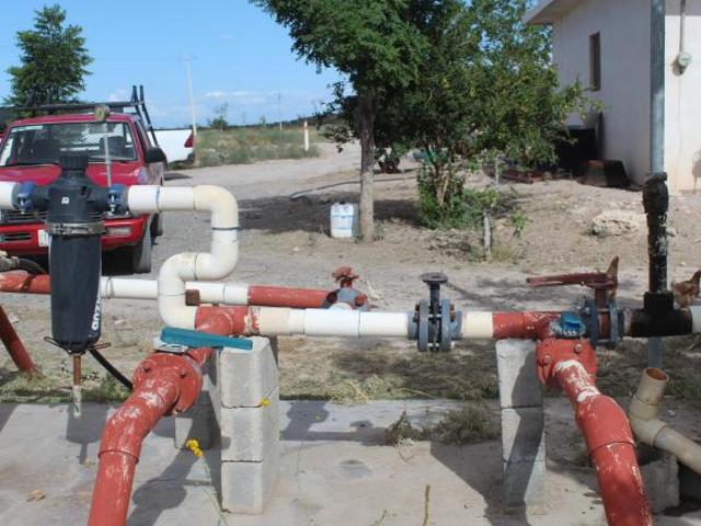 Rancho en producción en Parras
