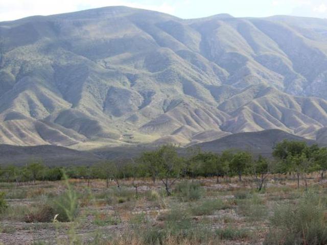 Rancho en producción en Parras