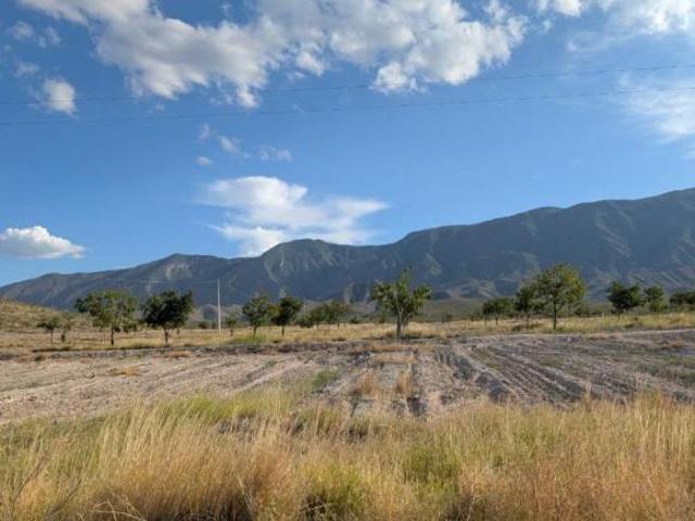 Rancho en producción en Parras