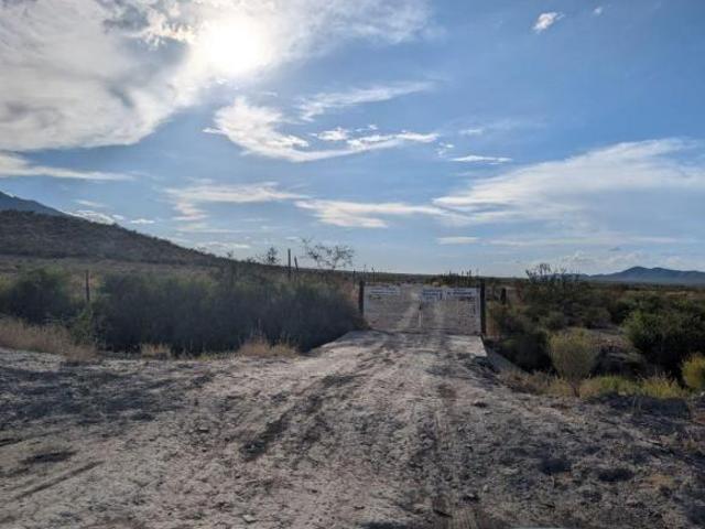 Rancho en producción en Parras
