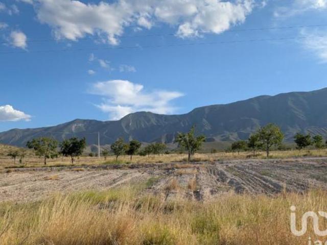 Rancho en producción en Parras