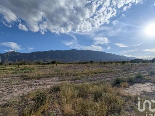 Rancho en producción en Parras