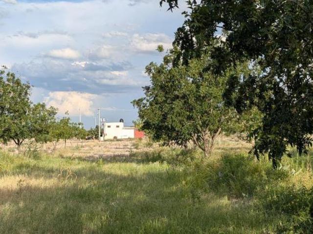 Rancho en producción en Parras