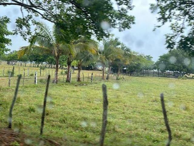 Rancho en Rancho o rancheria Cucharas