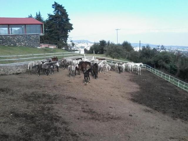 Rancho en San Miguel Ajusco, Tlalpan