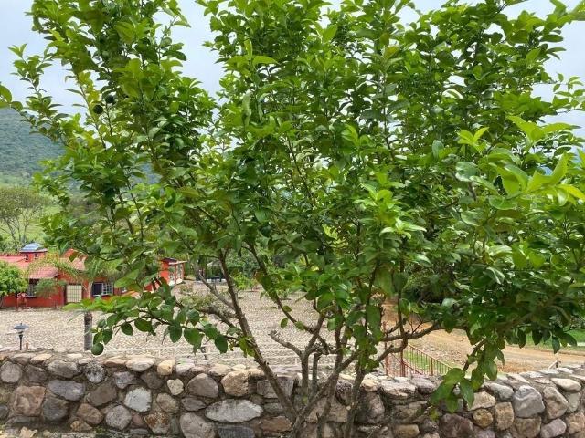 Rancho en venta en Talpa De Allende, Jalisco