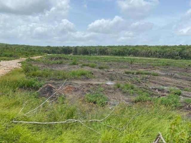 Terreno en venta en Tekax, Yucatán
