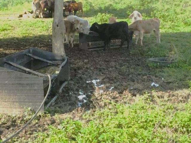 Rancho en Tepetzintla a 47 Km de Tuxpam, Veracruz