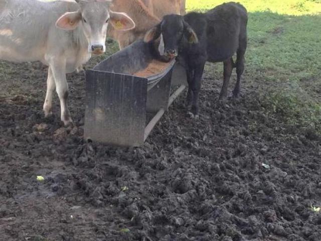 Rancho en Tepetzintla a 47 Km de Tuxpam, Veracruz