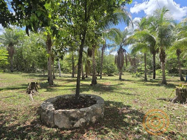 Departamento en venta en Kanum, Tixcacalcupul