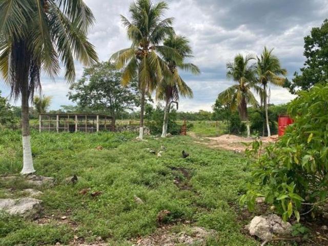 Rancho en venta en El Edén (Yaxic), Tizimín