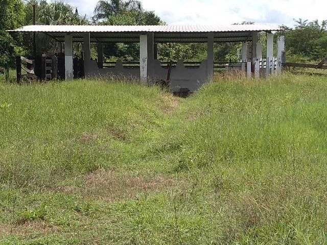 Rancho en venta en Tzucacab, Yucatán