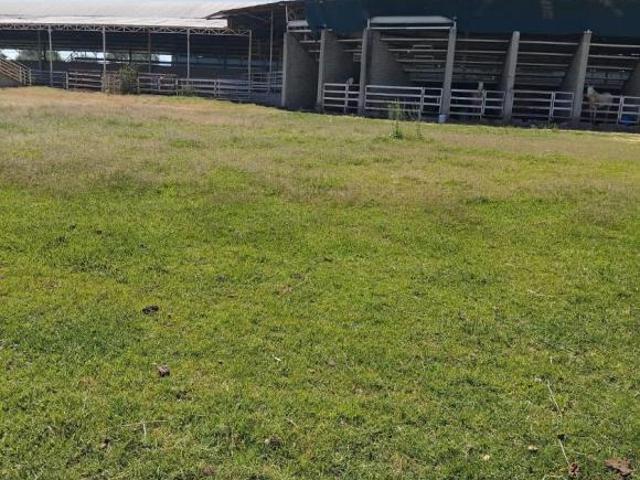 Rancho en venta en Ameca, Jalisco