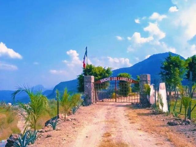 Rancho en venta en Pilcaya, Guerrero