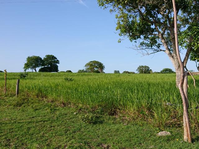 Quinta en venta en Ozuluama de Marcareñas, Veracruz