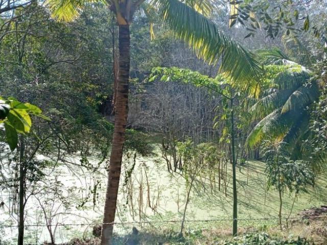 Rancho en venta en Sucilá, Yucatán