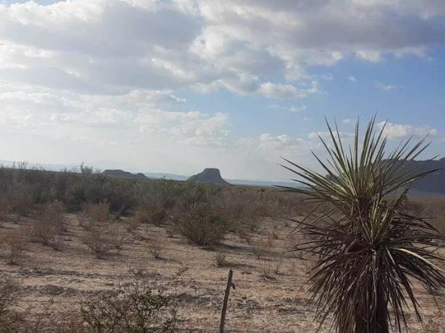 Rancho en venta en Bustamante, Nuevo León