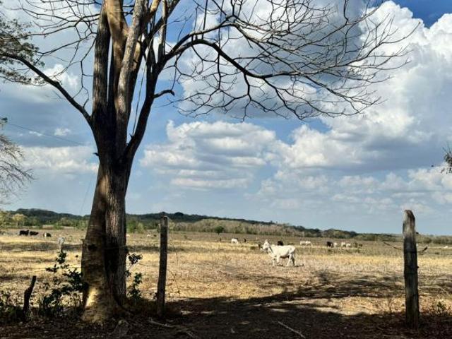 Rancho en venta en Champotón, Campeche