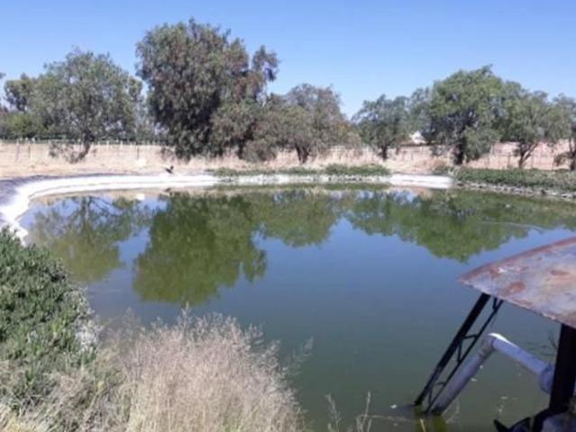 Rancho en venta en Aguascalientes