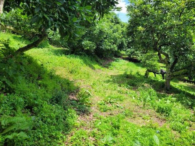 RANCHO EN VENTA
