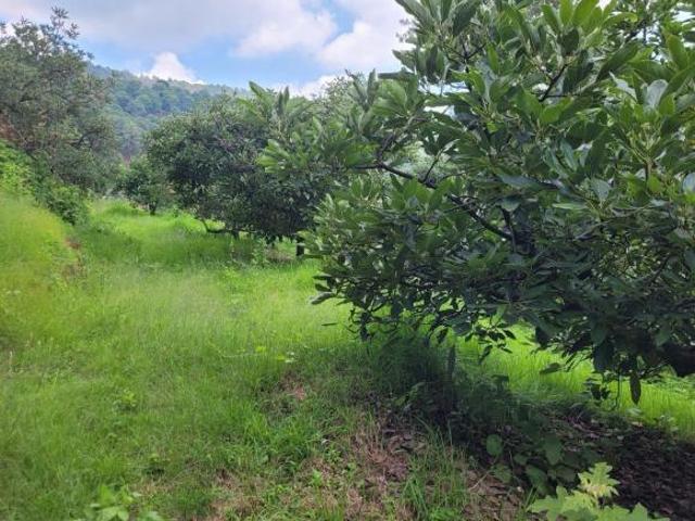 RANCHO EN VENTA
