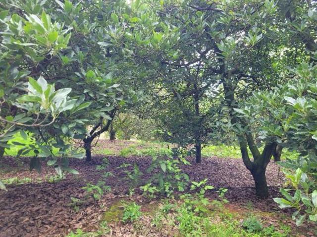 RANCHO EN VENTA