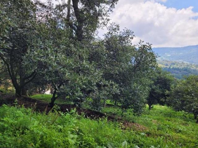 RANCHO EN VENTA