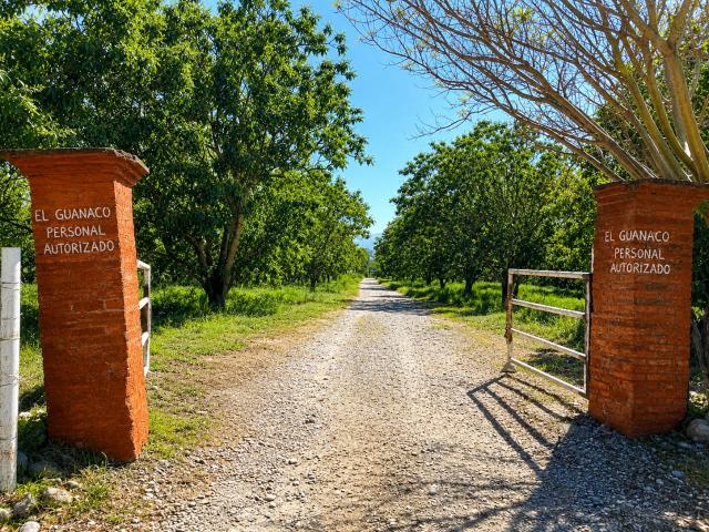 Quinta en venta en Xicoténcatl, Tamaulipas