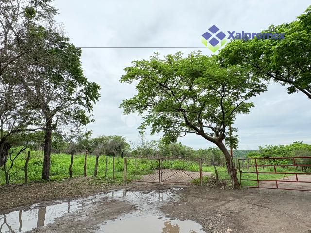 Rancho en venta en Puente Nacional, Veracruz