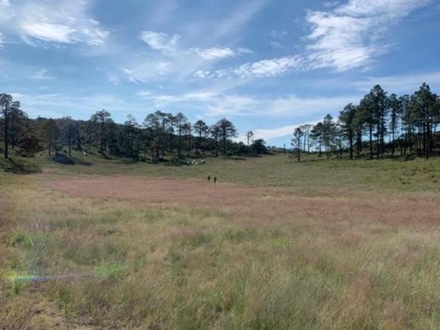 Rancho en venta