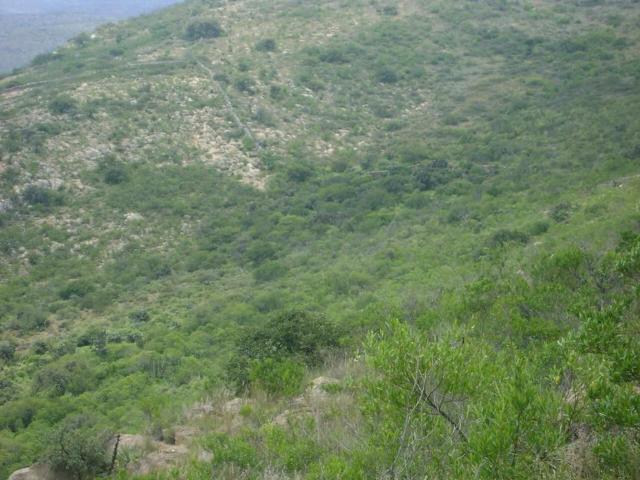 Rancho en venta en Tolimán, Querétaro