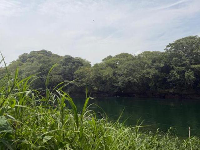 Rancho en venta en Acala