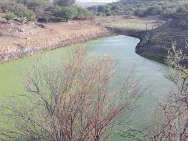 Rancho en venta en Aguascalientes