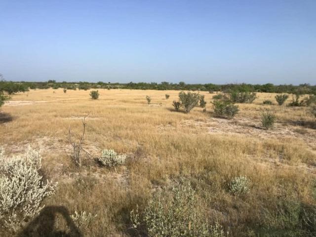 Rancho en venta en Vallecillo, Nuevo León