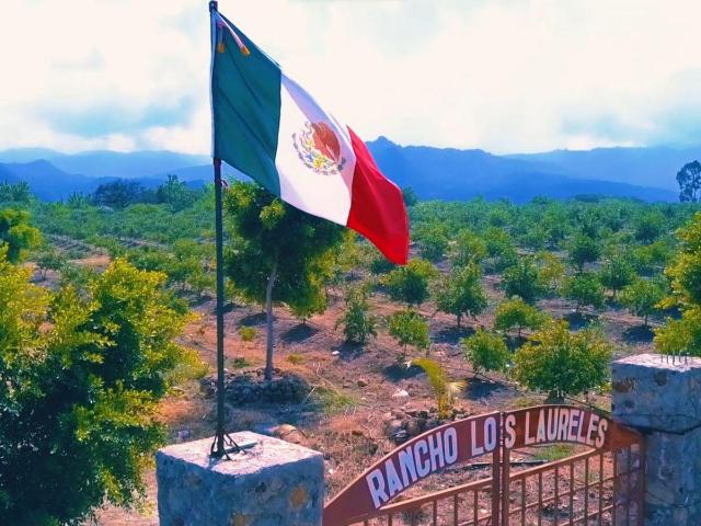 Departamento en venta en Pilcaya, Guerrero