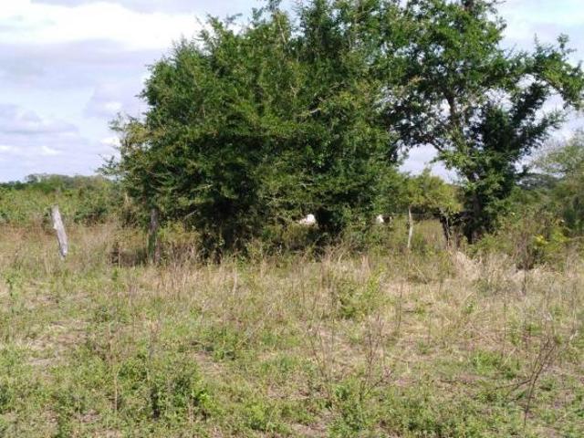 Rancho en venta en Tlalixcoyan, Veracruz