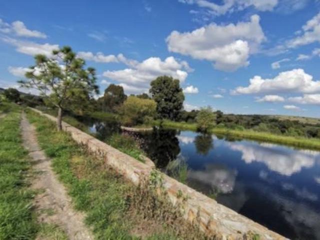Terreno en venta en San Felipe, Guanajuato