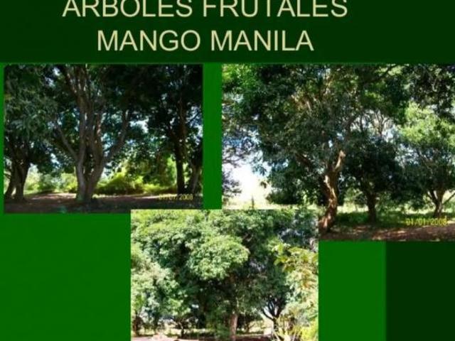 Rancho en venta en Medellín, Veracruz
