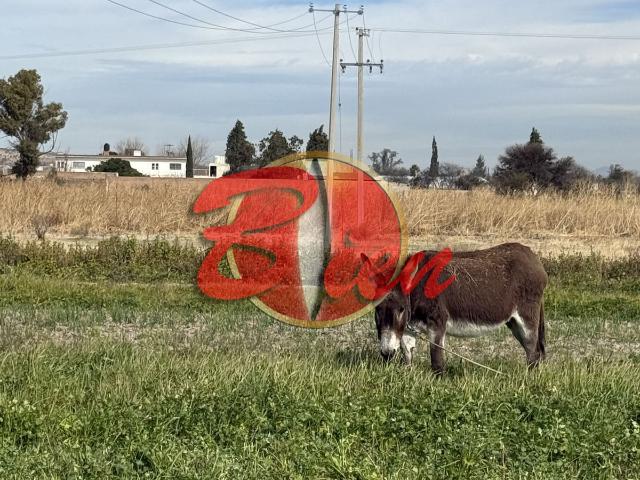 Rancho en venta en Durango