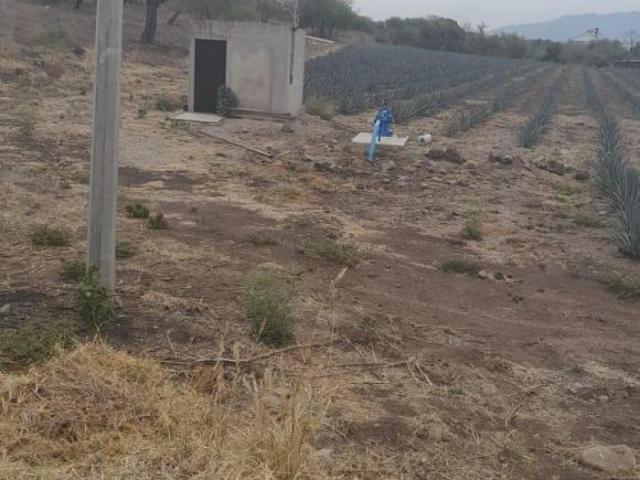 Rancho en venta en Cocula, Jalisco