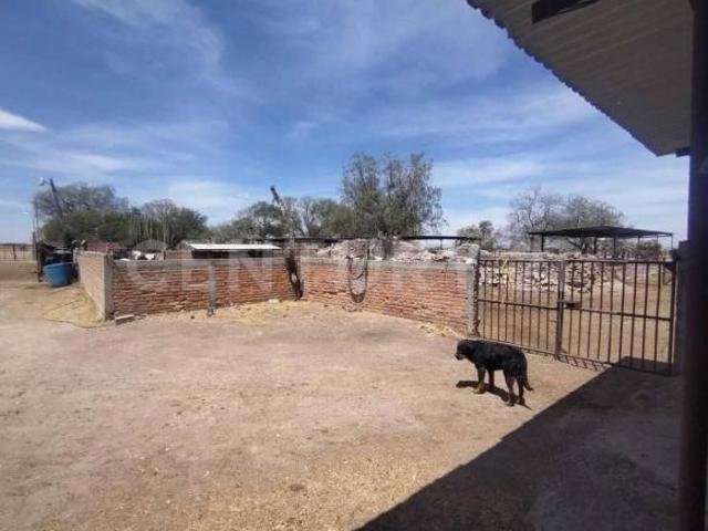 RANCHO EN VENTA COMUNIDAD LOS DURON, AGS