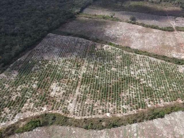 Rancho en venta en Benito Juárez, Quintana Roo