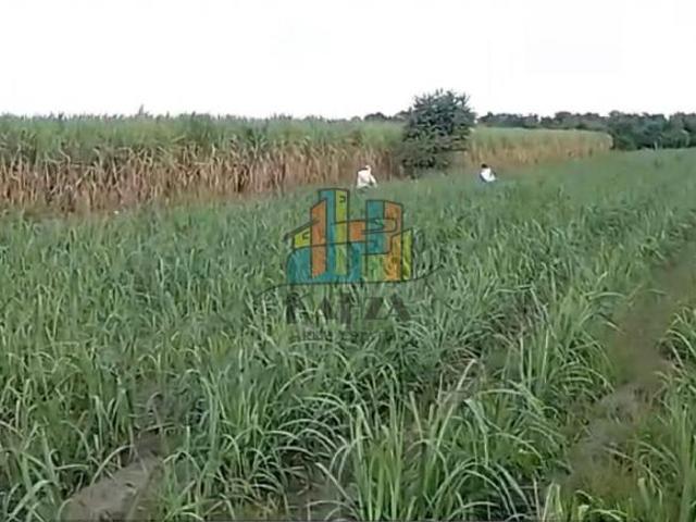Terreno en venta en Tamante, Pánuco